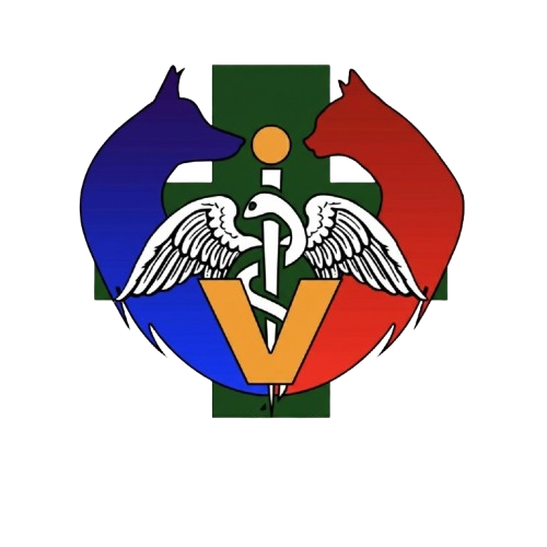 FMHSYNC logo