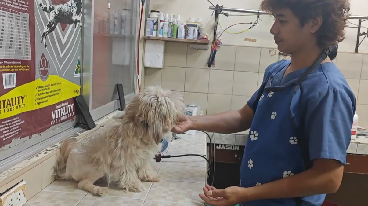 Consultation & Treatment