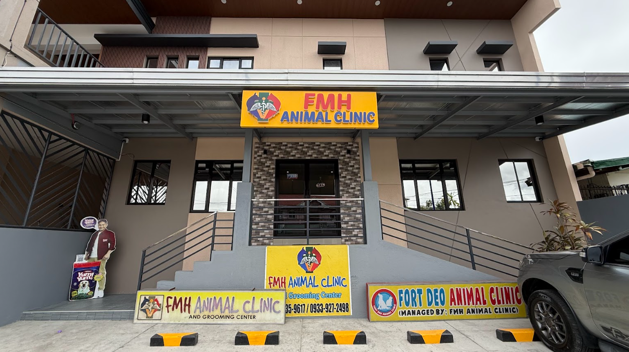 Pet at FMH Animal Clinic